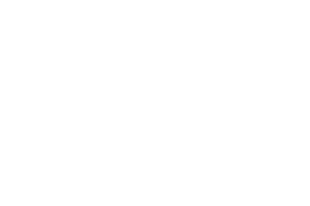 GENZLOG Official Logo
